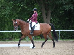 IMG_0501_web